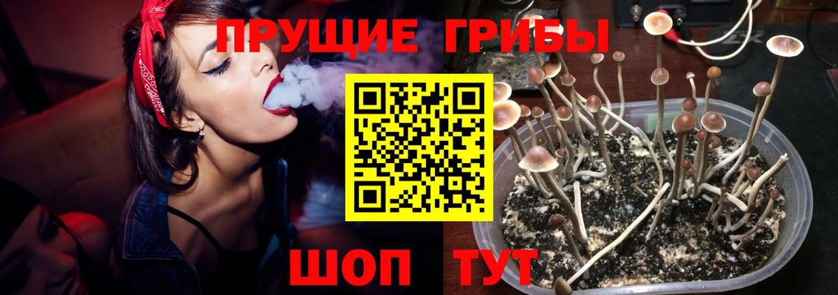 Псилоцибиновые грибы MAGIC MUSHROOMS Ангарск